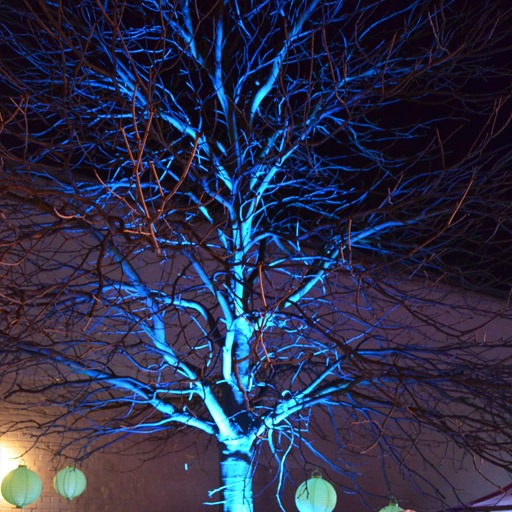 7x3 W RGB LED Floorspot, Baumbeleuchtung, uplighting, Baumkrone blau, sehr dekorativ, zu mieten bei VEITLIGHT® in Berlin Lichtenberg