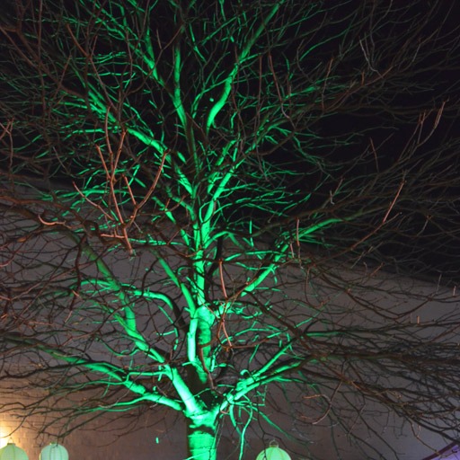 7x3 W RGB LED Floorspot, Baumbeleuchtung, uplighting, Baumkrone grün, sehr dekorativ, zu mieten bei VEITLIGHT® in Berlin Lichtenberg