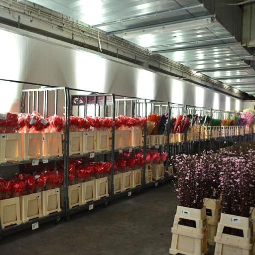 LED Spotlights beleuchten AKKUS Blumengroßhandel in weiß, indoor, sehr dekorativ, zu mieten bei VEITLIGHT® in Berlin Lichtenberg